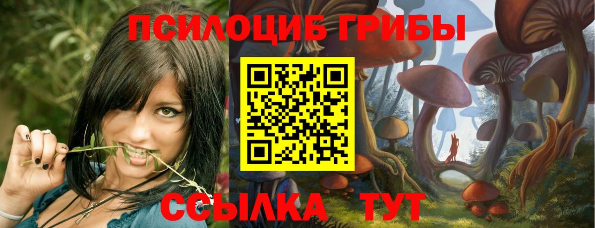 цена   Вход с VPN  Ростов Великий  Псилоцибиновые грибы ЛСД 